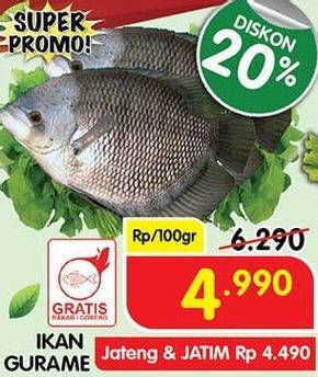 Promo Harga Ikan Gurame per 100 gr - Superindo