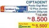 Promo Harga CIPTADENT Pasta Gigi Maxi 12 Plus Fresh Mint 250 gr - Indomaret