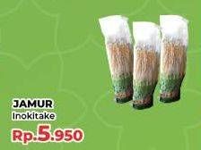 Promo Harga Jamur Inokitake (Jamur Enokitake)  - Yogya