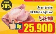 Promo Harga Ayam Broiler 900 gr - Hypermart