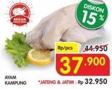 Promo Harga Ayam Kampung  - Superindo