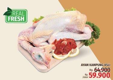 Promo Harga Ayam Kampung 600 gr - LotteMart