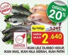 Promo Harga Ikan Lele Dumbo Hidup/Ikan Mas/Ikan Nila Merah/Ikan Patin  - Superindo