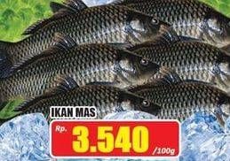 Promo Harga Ikan Mas per 100 gr - Hari Hari