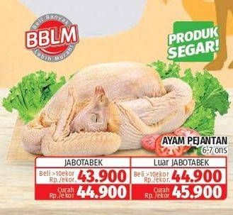 Promo Harga Ayam Pejantan 600 gr - Lotte Grosir