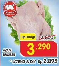 Promo Harga Ayam Broiler per 100 gr - Superindo