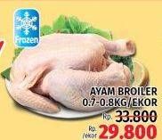 Promo Harga Ayam Broiler 700 gr - LotteMart