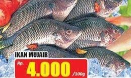 Promo Harga Ikan Mujair per 100 gr - Hari Hari