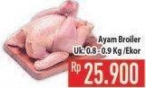 Promo Harga Ayam Broiler  - Hypermart