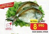 Promo Harga Ikan Bawal Hitam per 100 gr - Superindo