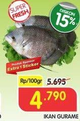 Promo Harga Ikan Gurame per 100 gr - Superindo