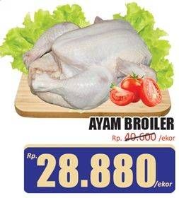 Promo Harga Ayam Broiler 800 gr - Hari Hari