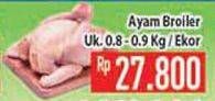 Promo Harga Ayam Broiler  - Hypermart