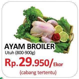 Promo Harga Ayam Broiler  - Yogya