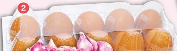 Promo Harga Telur Ayam Negeri 10 pcs - LotteMart