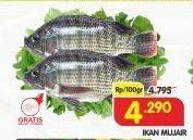 Promo Harga Ikan Mujair per 100 gr - Superindo