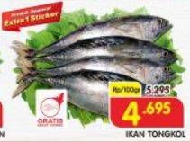 Promo Harga Ikan Tongkol per 100 gr - Superindo