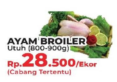 Promo Harga Ayam Broiler  - Yogya