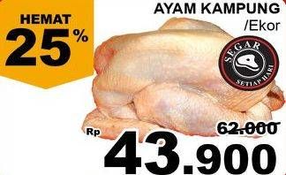 Promo Harga Ayam Kampung  - Giant