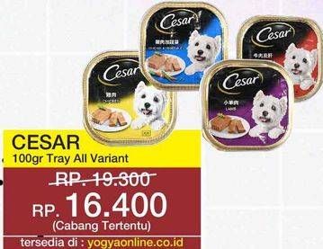 Promo Harga CESAR Dog Food All Variants 100 gr - Yogya