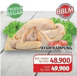 Promo Harga Ayam Kampung  - Lotte Grosir