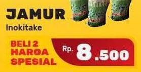 Promo Harga Jamur Inokitake (Jamur Enokitake) 300 gr - Yogya