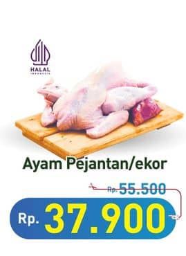 Ayam Pejantan