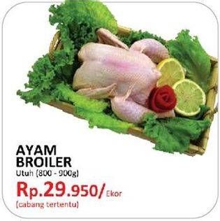 Promo Harga Ayam Broiler  - Yogya