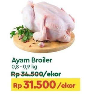 Promo Harga Ayam Broiler 800 gr - TIP TOP