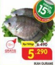 Promo Harga Ikan Gurame per 100 gr - Superindo