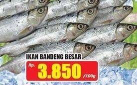 Promo Harga Ikan Bandeng Besar per 100 gr - Hari Hari