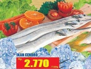 Promo Harga Ikan Cendro per 100 gr - Hari Hari