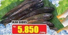 Promo Harga Ikan Gabus per 100 gr - Hari Hari