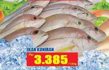 Promo Harga Ikan Kuniran per 100 gr - Hari Hari