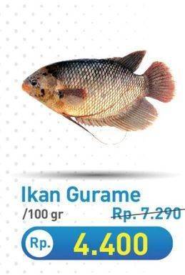 Promo Harga Ikan Gurame per 100 gr - Hypermart