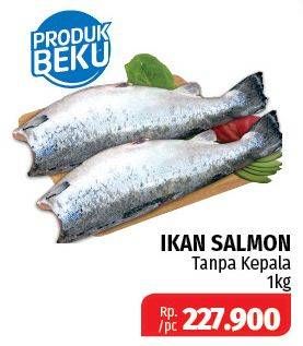 Promo Harga Salmon Headless  - Lotte Grosir