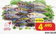 Promo Harga Ikan Selar per 100 gr - Superindo