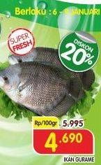 Promo Harga Ikan Gurame per 100 gr - Superindo