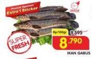 Promo Harga Ikan Gabus per 100 gr - Superindo