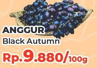 Promo Harga Anggur Black Autumn per 100 gr - Yogya