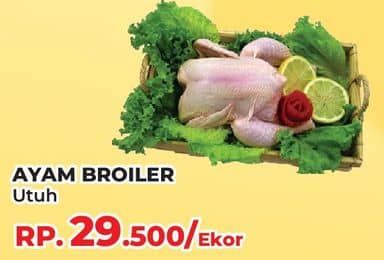 Promo Harga Ayam Broiler 500 gr - Yogya