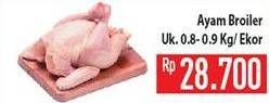 Promo Harga Ayam Broiler  - Hypermart