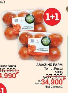 Promo Harga Amazing Farm Tomat Pasta 500 gr - LotteMart