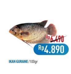 Promo Harga Ikan Gurame per 100 gr - Hypermart