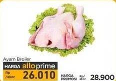 Promo Harga Ayam Broiler 700 gr - Carrefour