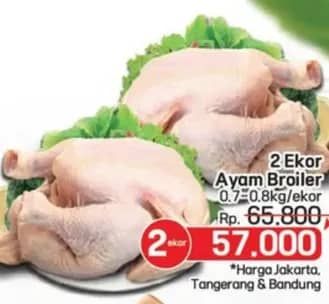 Promo Harga Ayam Broiler 700 gr - LotteMart