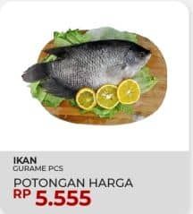 Promo Harga Ikan Gurame  - Yogya
