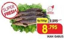 Promo Harga Ikan Gabus per 100 gr - Superindo