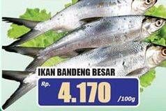 Promo Harga Ikan Bandeng Besar per 100 gr - Hari Hari