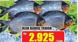 Promo Harga Ikan Bawal Tawar per 100 gr - Hari Hari